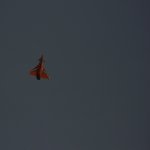 Jubilaeums Flugtage des MCOE in Jeddeloh I